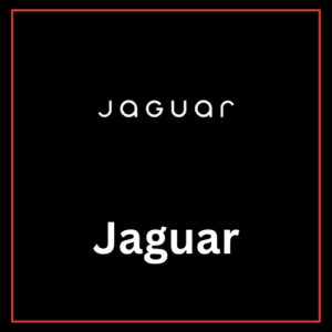 sccg-jaguar